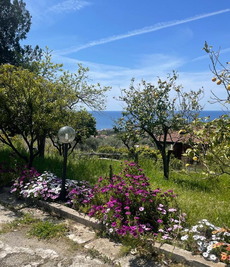 Meerblick von der Terrasse