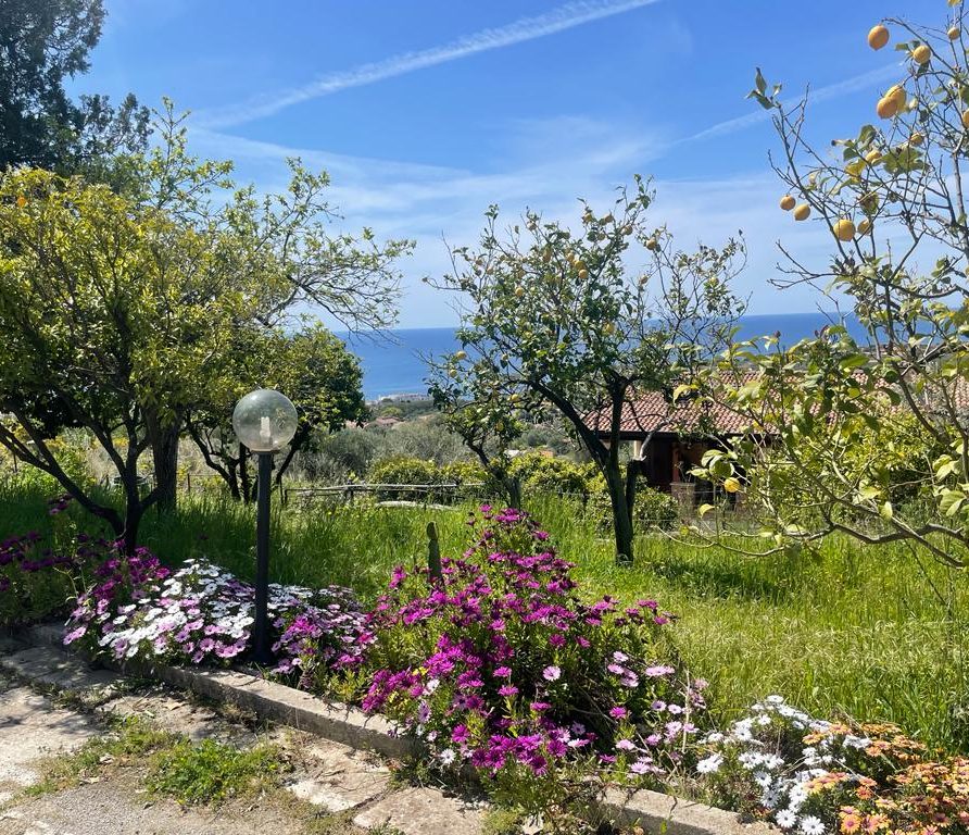 Meerblick von der Terrasse